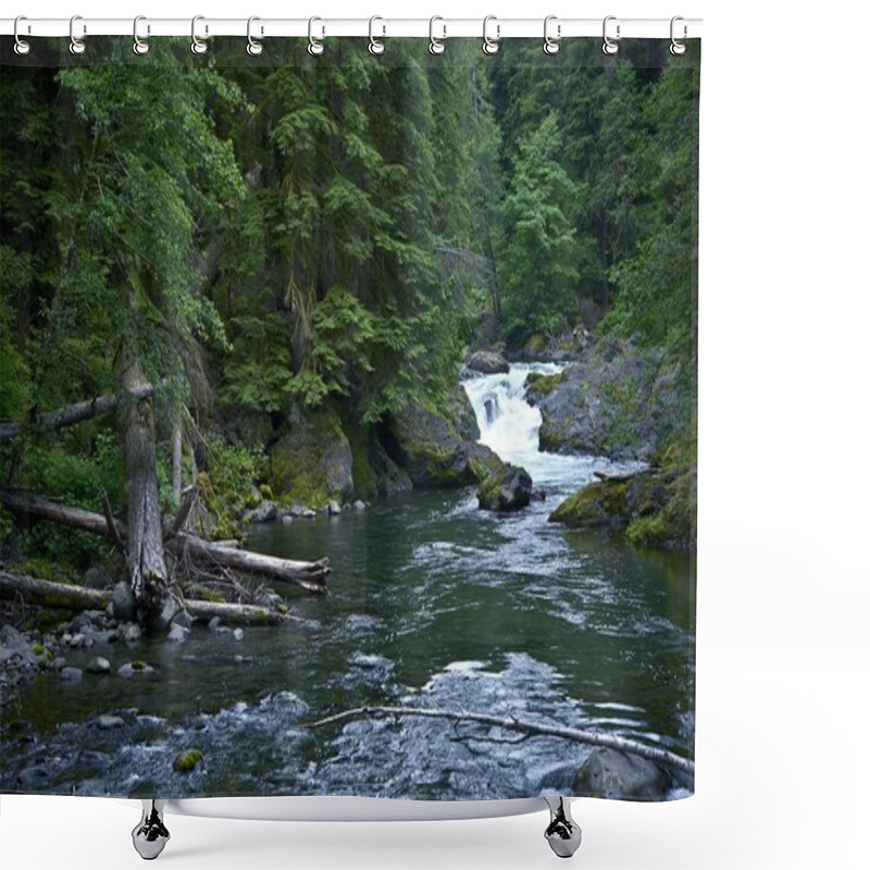 Personality  Rainforest Hoh River Shower Curtains