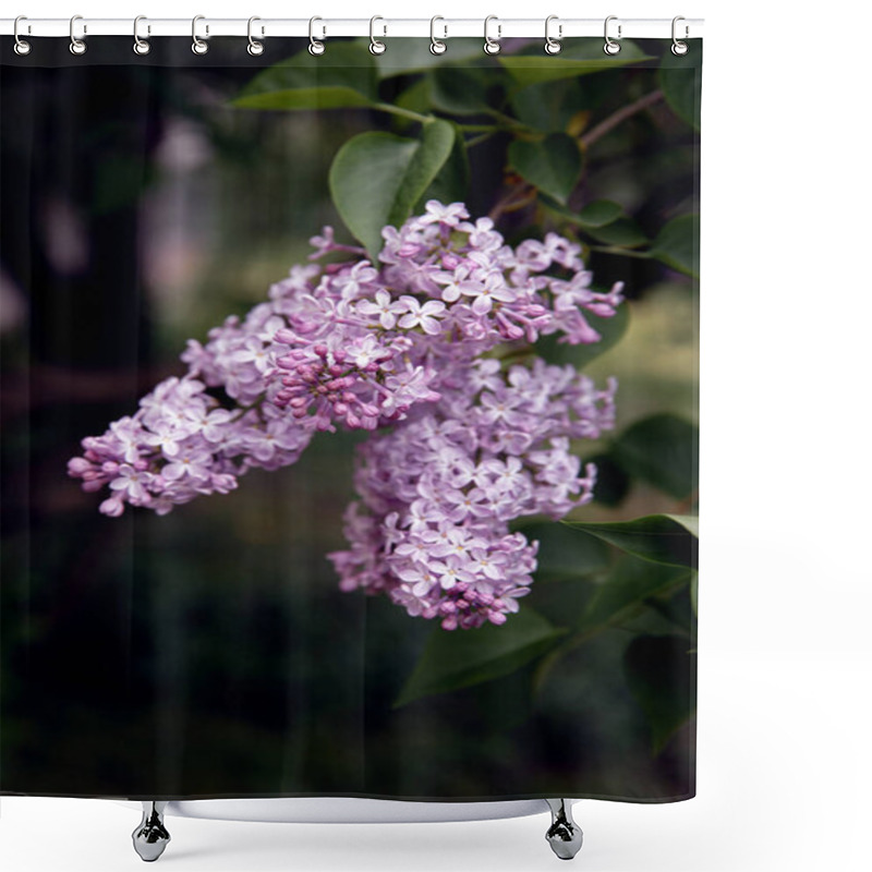 Personality  Close-up View Of Beautiful Blooming Lilac Branch With Small Violet Flowers, Selective Focus Shower Curtains