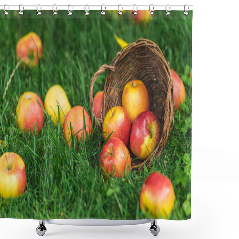 Personality  Ripe Fresh Picked Apples In Wicker Basket On Green Grass Shower Curtains