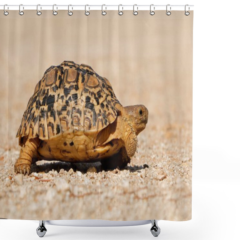 Personality  Leopard Tortoise Walking Shower Curtains