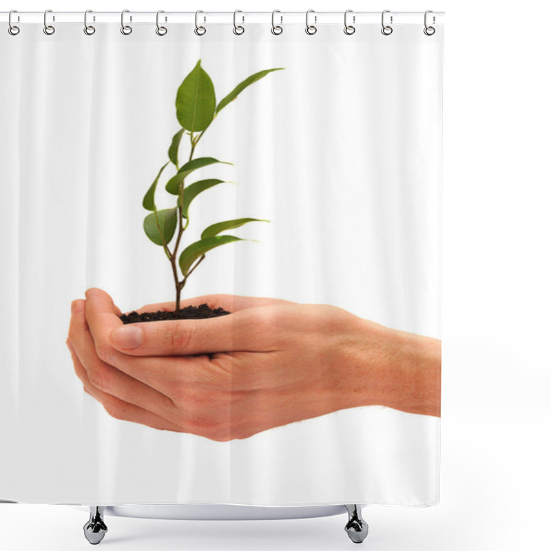 Personality  Tree In A Male Hands Isolated Shower Curtains