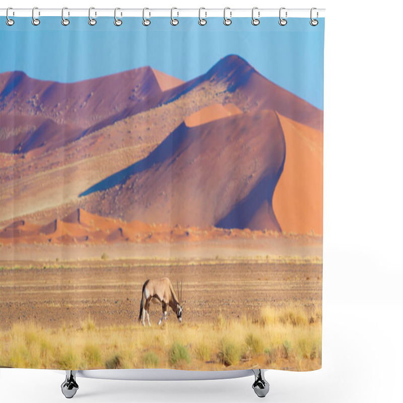 Personality  Deer, Antelope Or Oryx. Wildlife Animal In Forest Field In Safari Conservative National Park In Namibia, South Africa. Natural Landscape Background. Shower Curtains