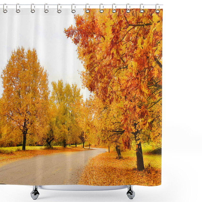 Personality  Oak Trees Yellow Leaves  In Autumn Season In University Of Ioannina Greece Shower Curtains