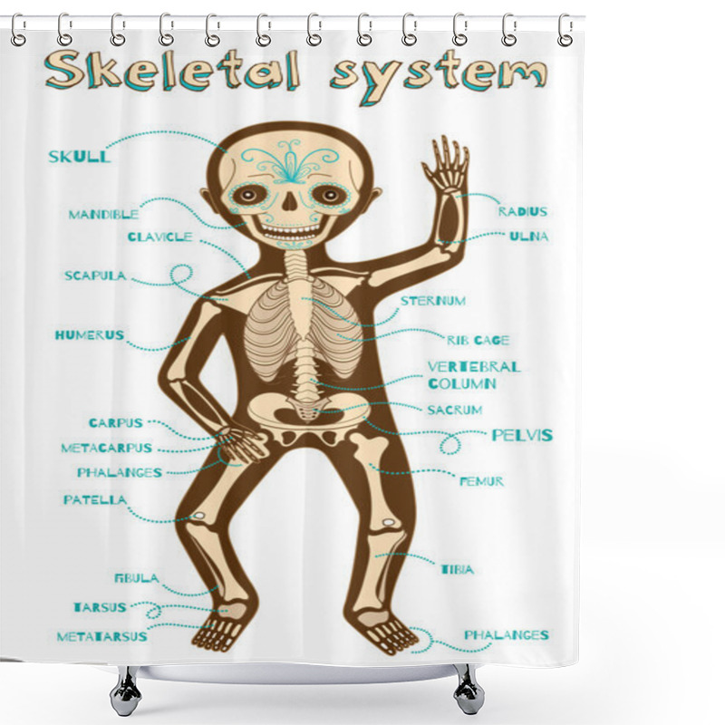 Personality  Vector Cartoon Illustration Of Human Skeletal System For Kids Shower Curtains