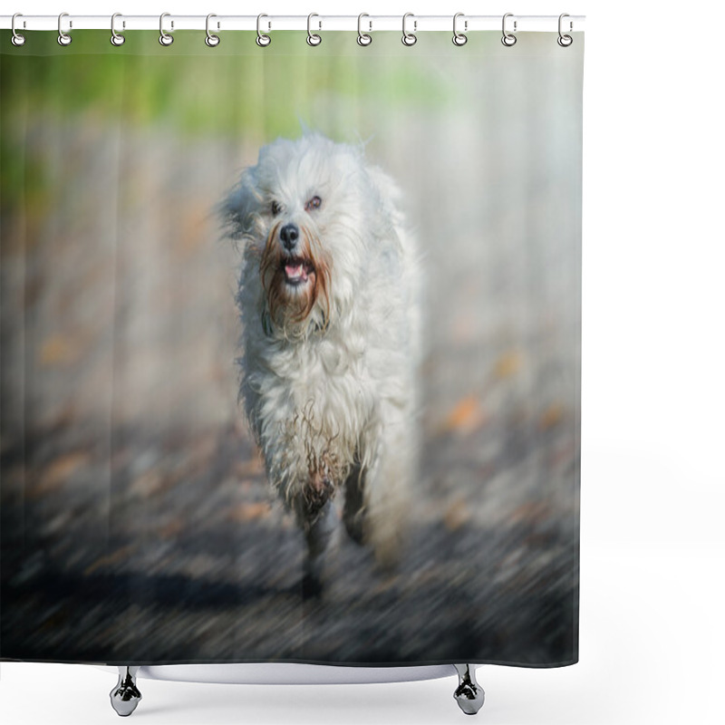 Personality  High-speed Dog Shower Curtains