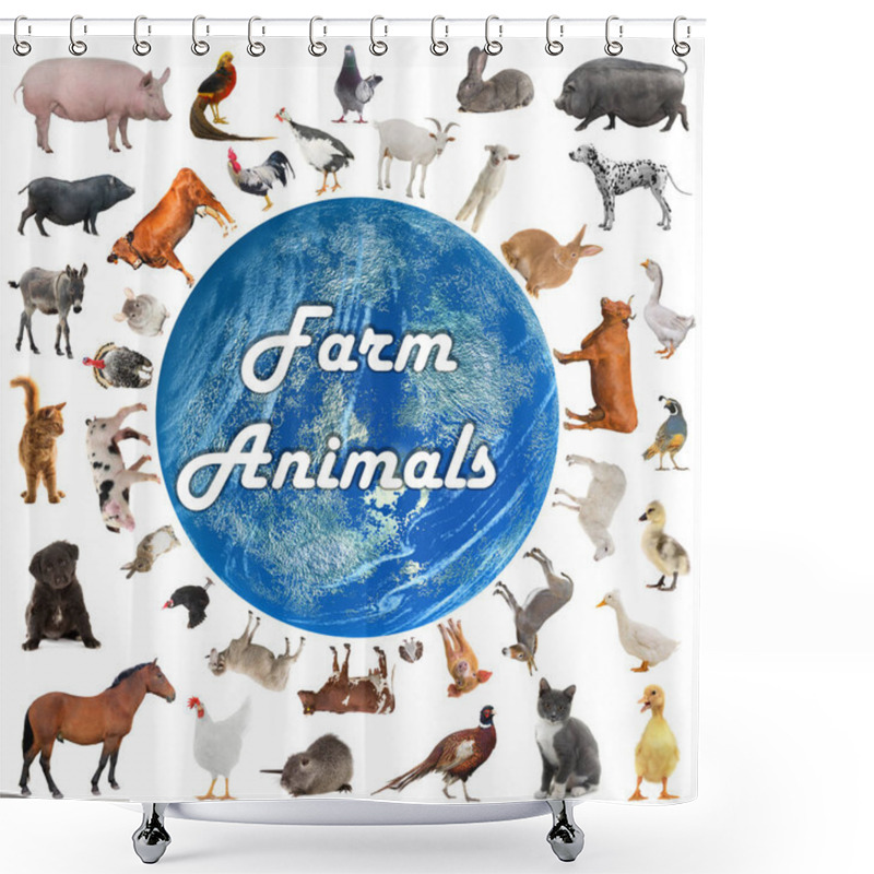 Personality  Collage Of Farm Animals Isolated On White Background Shower Curtains