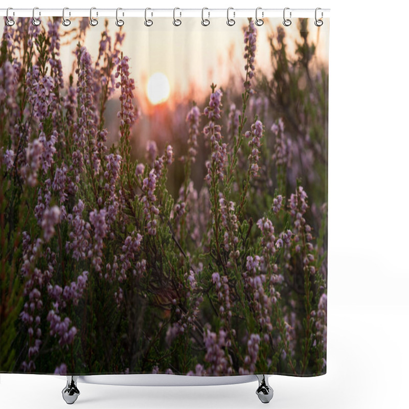 Personality  Sunrise On The Heathland. Beautiful Light Of Early Morning. Selective Focus. Shower Curtains