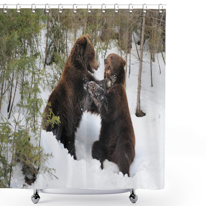 Personality  Bear In Winter Shower Curtains