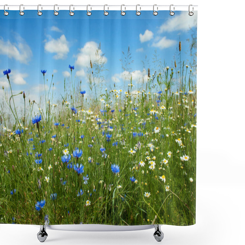 Personality  Summer Flowers Field Shower Curtains