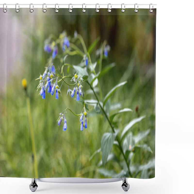 Personality  A Macro Shot Of Delicate Bluebell Flowers Shower Curtains