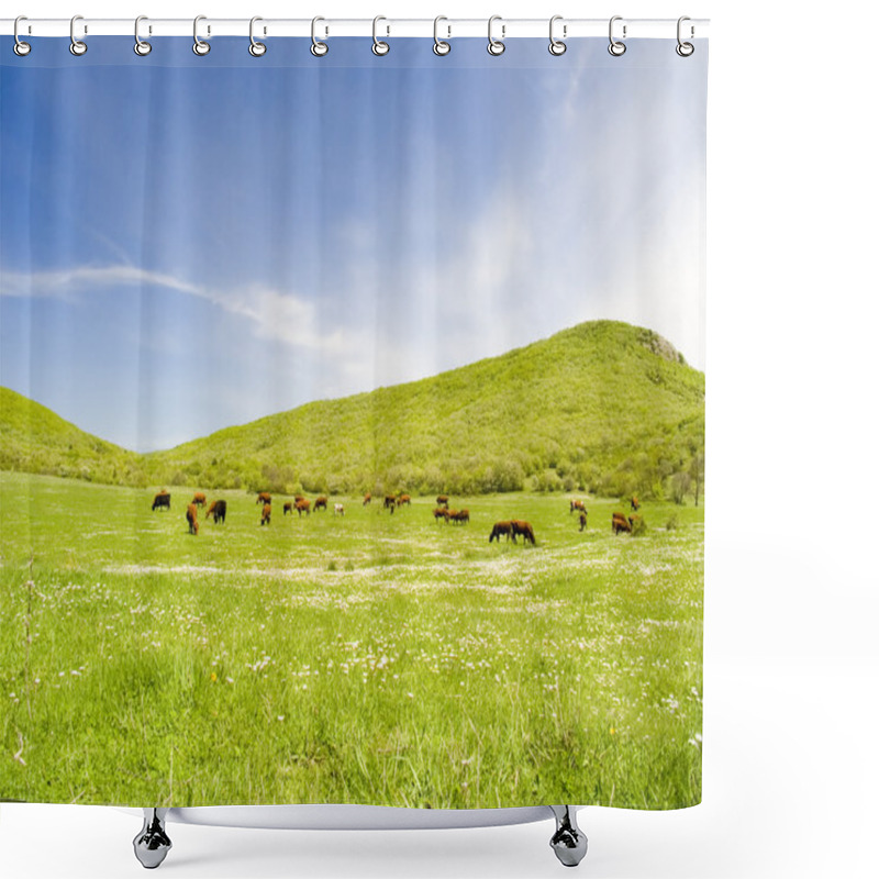 Personality  Cows On A Pasture Shower Curtains