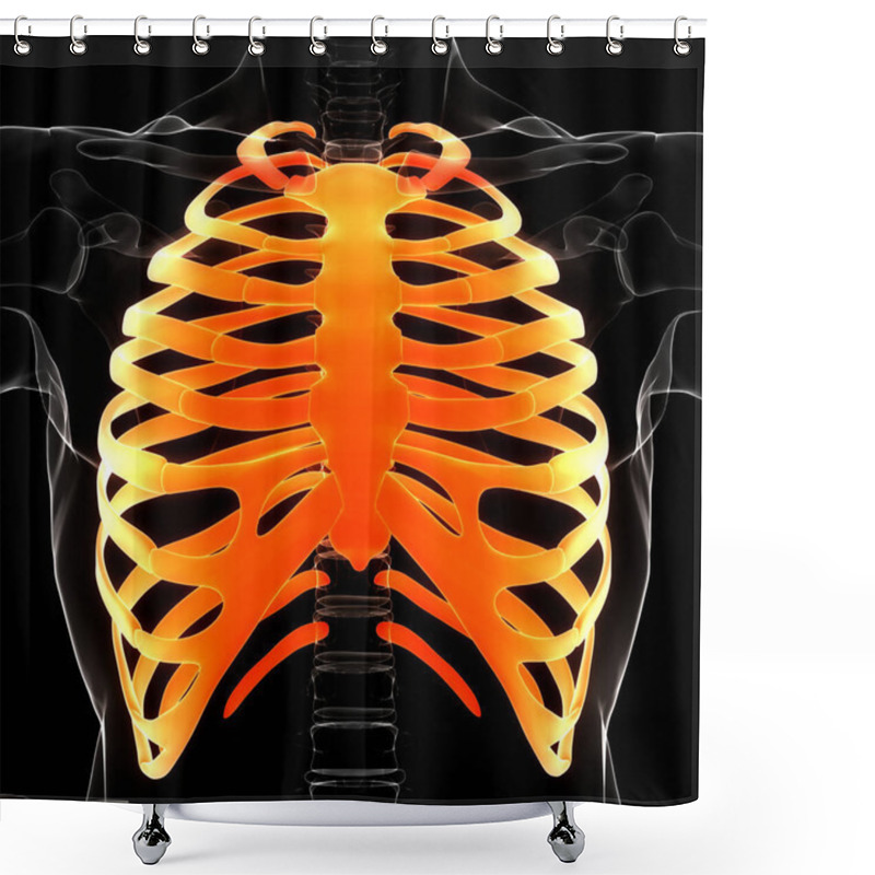 Personality  Human Skeleton System Rib Cage Bone Joints Anatomy. 3D Shower Curtains