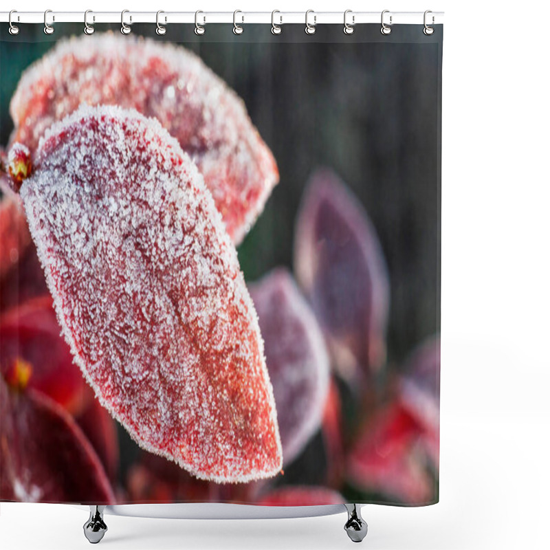 Personality  Frost-covered Red Blueberry Leaves In A Detailed View, Capturing The Essence Of A Frosty Morning. Shower Curtains