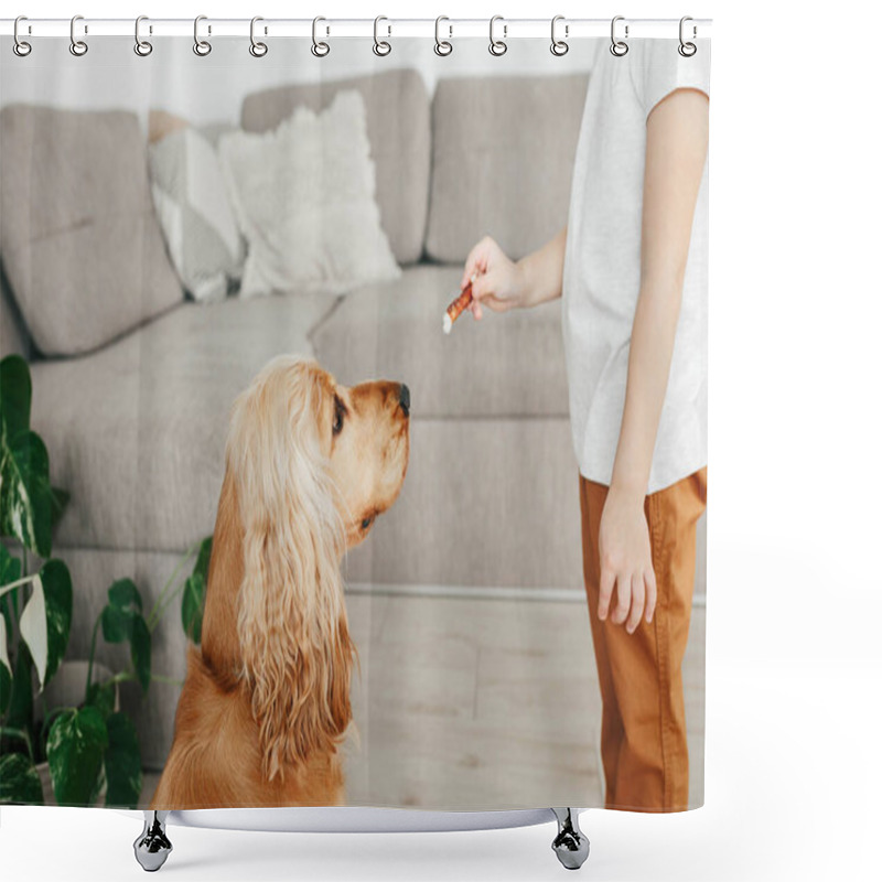 Personality  Little Girl Holding Dog Snack Food And Training Her Dog To Sit At Home Shower Curtains