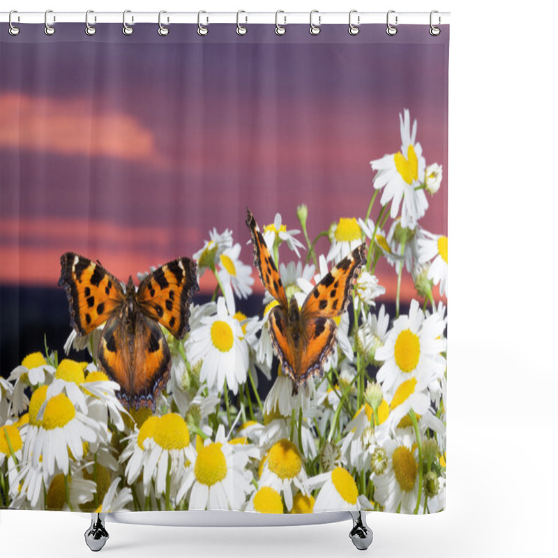 Personality  Two Butterflies On Camomiles Shower Curtains