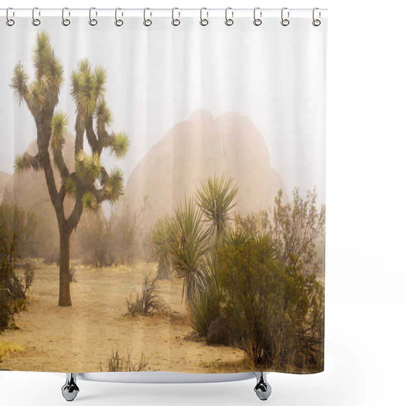 Personality  Foggy Spring Day At Joshua Tree National Park Shower Curtains