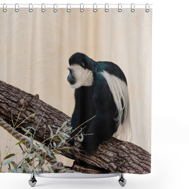 Personality  Selective Focus Of Adorable Black And White Monkey Sitting On Tree  Shower Curtains