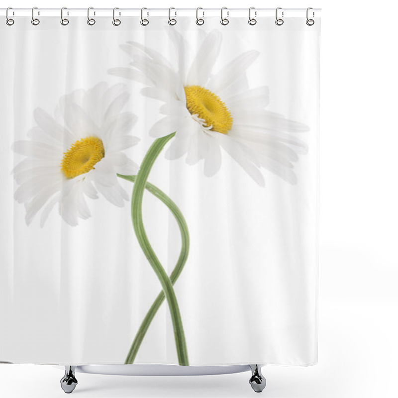 Personality  Daisy Flowers Shower Curtains