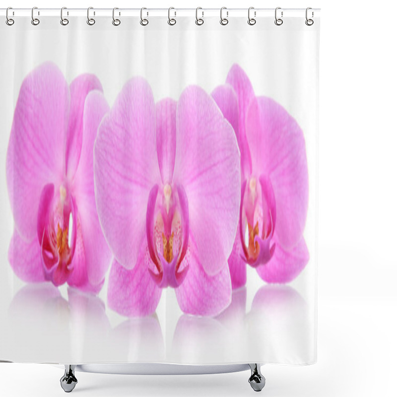 Personality  Orchid Flowers Shower Curtains