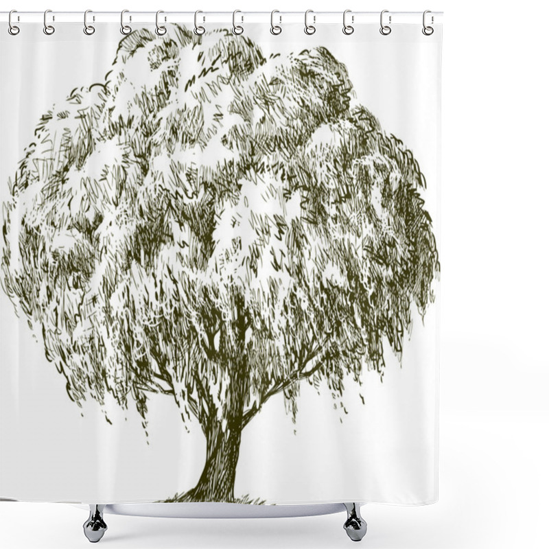 Personality  Old Oak Tree Shower Curtains