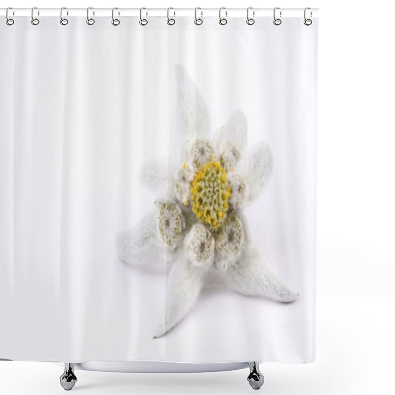 Personality  Edelweiss Shower Curtains