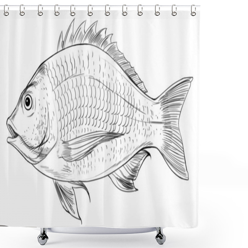 Personality  Acanthopagrus Butcheri Shower Curtains