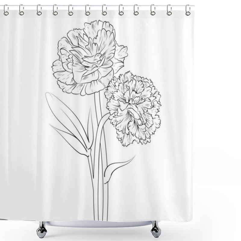 Personality  Carnation Flower Botanical Illustration Beautiful Botanical Flower. Hand Draw Gillyflower, Shower Curtains