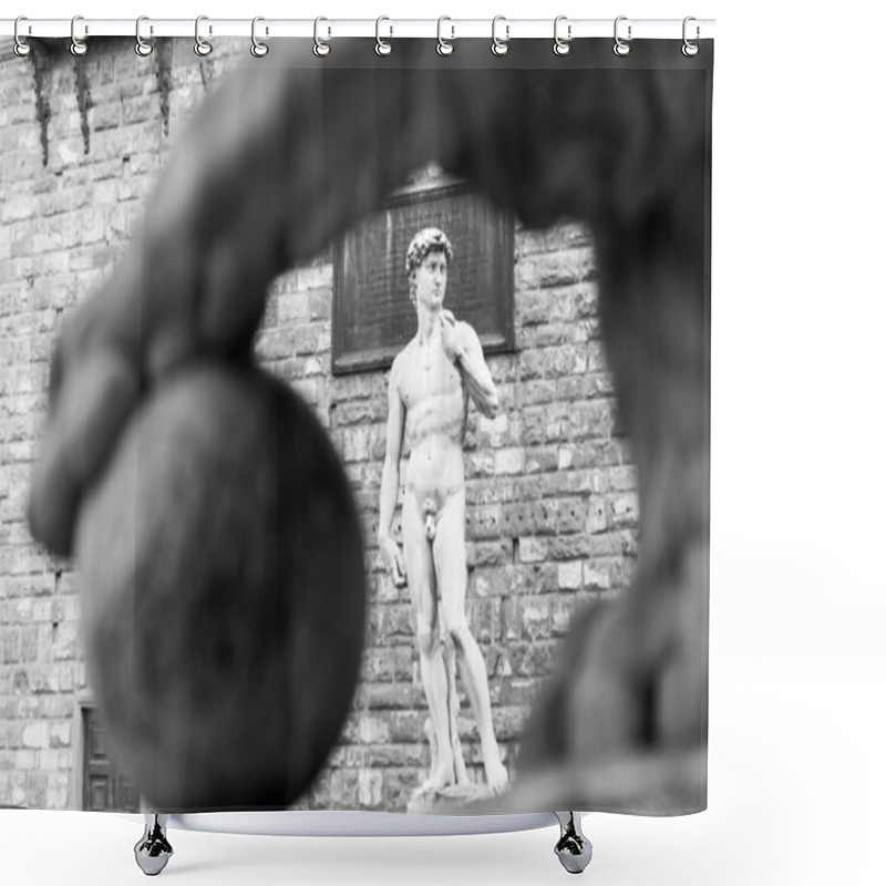 Personality  Sculpture Of David By Michelangelo In Piazza Della Signoria In F Shower Curtains