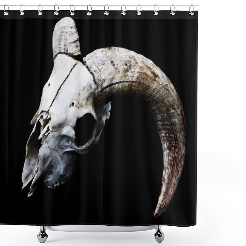 Personality  Abstract Ram Sheep Deer Skull  Shower Curtains