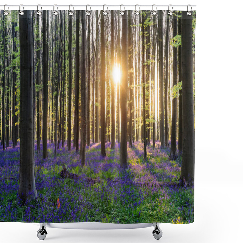 Personality  Sunrise Illuminating Bluebells Shower Curtains