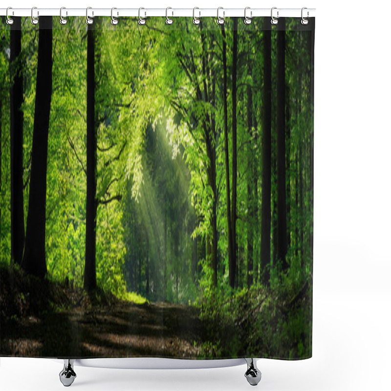 Personality  Natural Archway Shaped By Branches In The Forest Shower Curtains