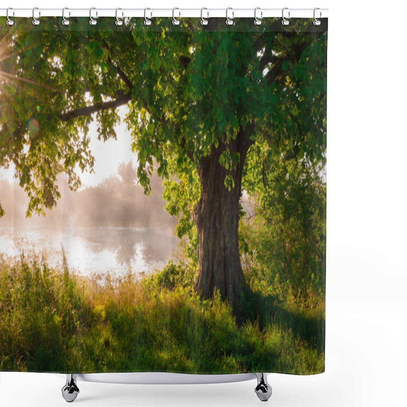 Personality  Oak Tree In Full Leaf In Summer Standing Alone Shower Curtains