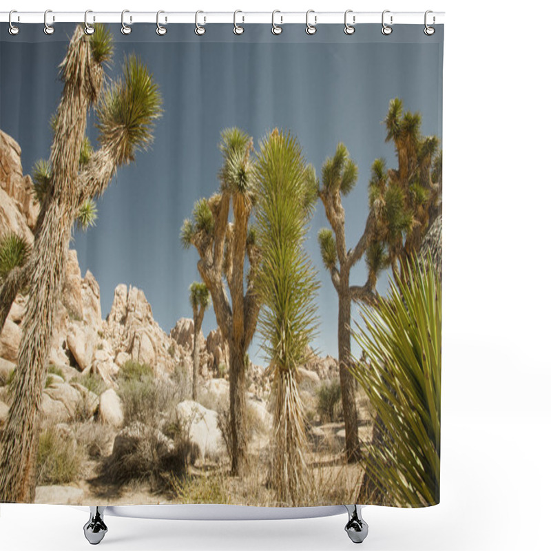 Personality  Joshua Tree Shower Curtains