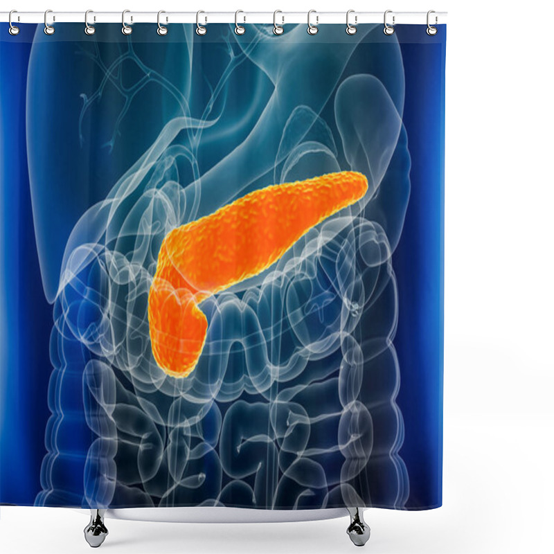 Personality  Pancreas Organs Xray Close-up 3D Rendering Illustration With Male Body Contours. Anatomy, Digestive System, Biomedical, Disease, Medical, Biology, Science, Healthcare Concepts. Shower Curtains