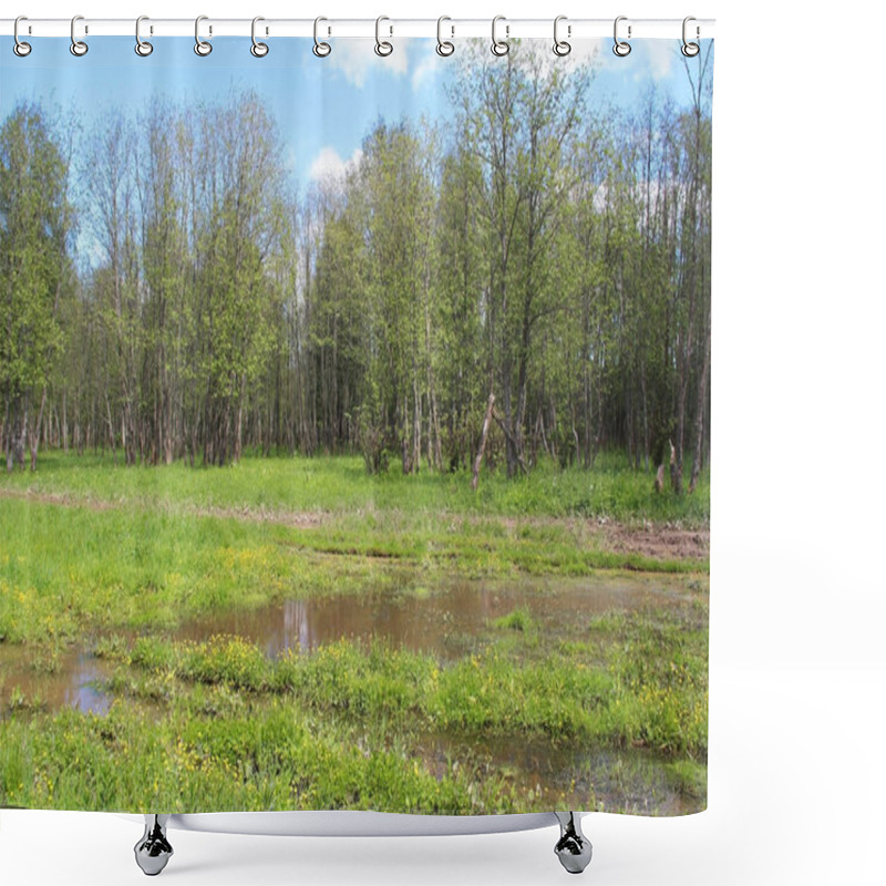 Personality  Spring Forest Landscape. Trees With Intensely Green Leaves In The Forest. Shower Curtains