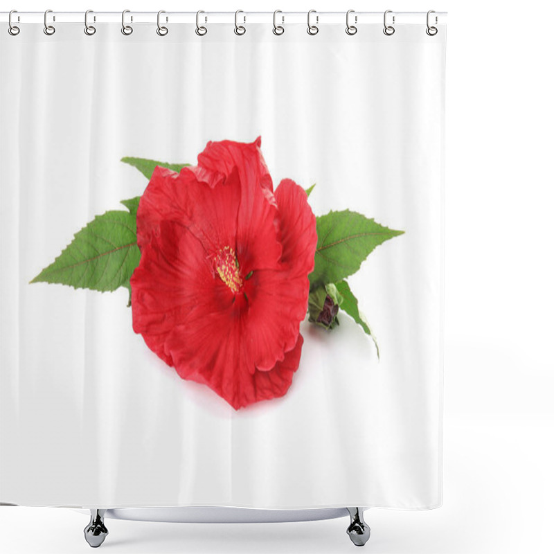 Personality  Beautiful Red Hibiscus Flower On White Background Shower Curtains