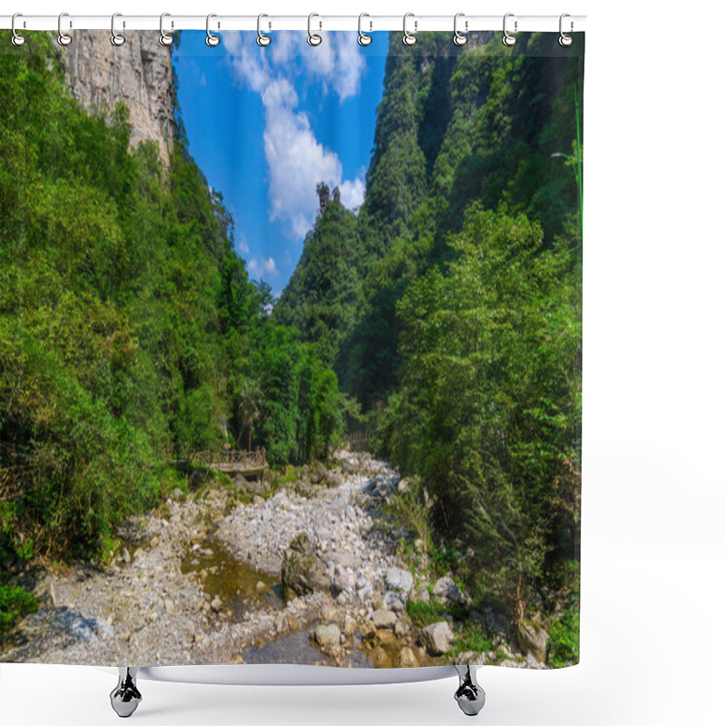 Personality  Summer Scenery Of The Three Gorges Sea Of Bamboo In Yichang, Hubei Shower Curtains