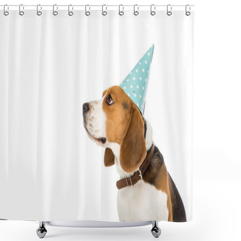 Personality  Side View Of Beagle Dog In Party Cone Isolated On White Shower Curtains