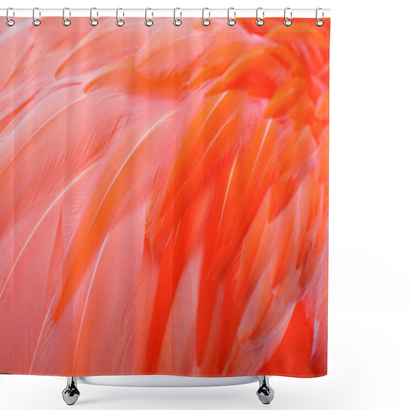 Personality  Red Bird Feather Shower Curtains