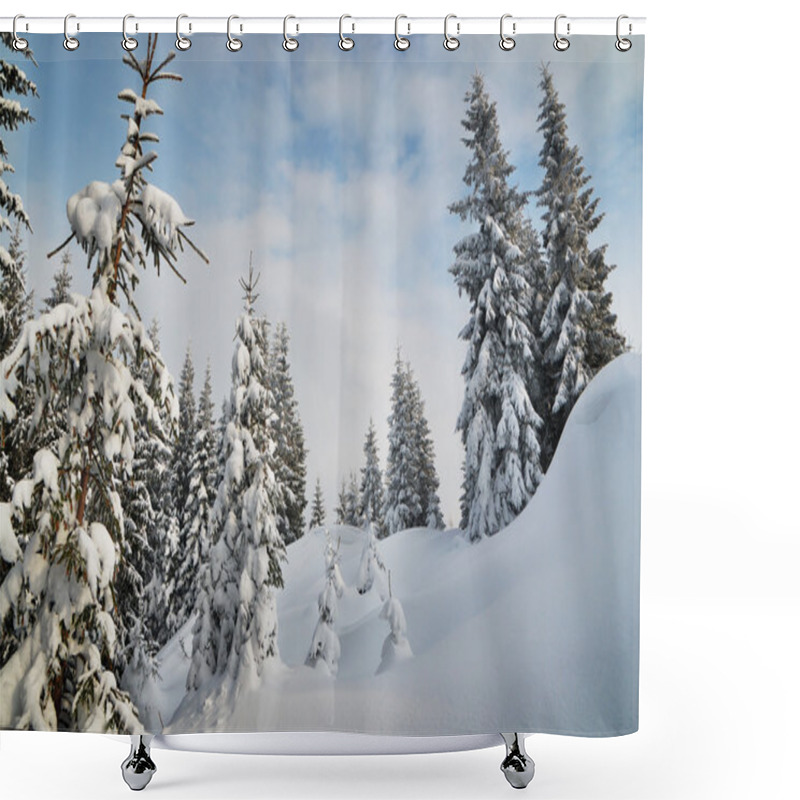 Personality  Winter In The Mountain Forest Shower Curtains