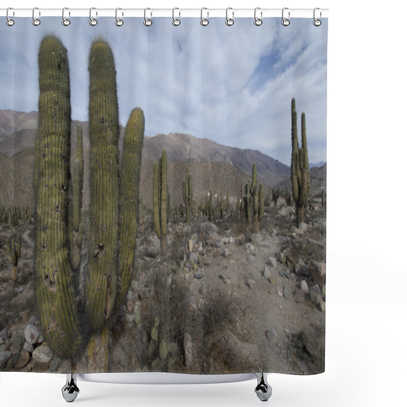 Personality  Cardon Grande Cactuses Shower Curtains