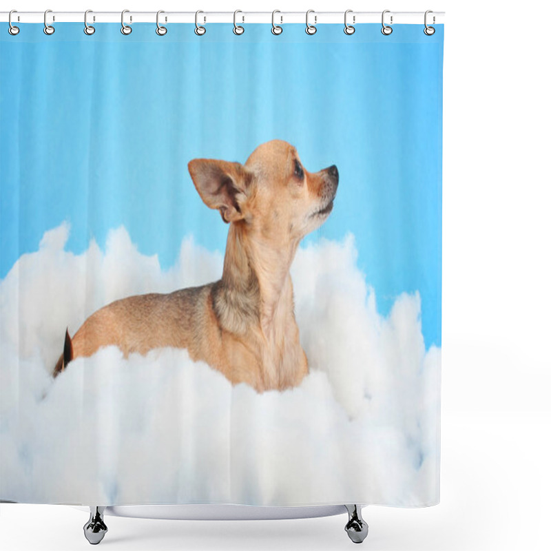 Personality   A Cute Chihuahua On Clouds Shower Curtains