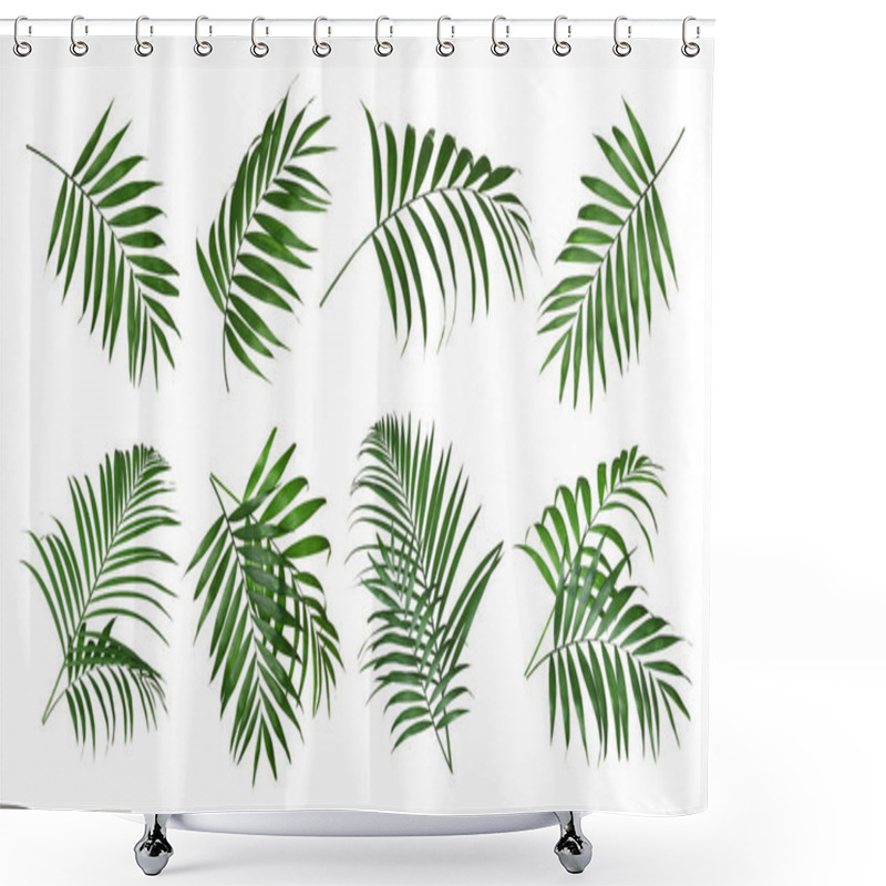 Personality  Set Of Tropical Leaves On White Background Shower Curtains