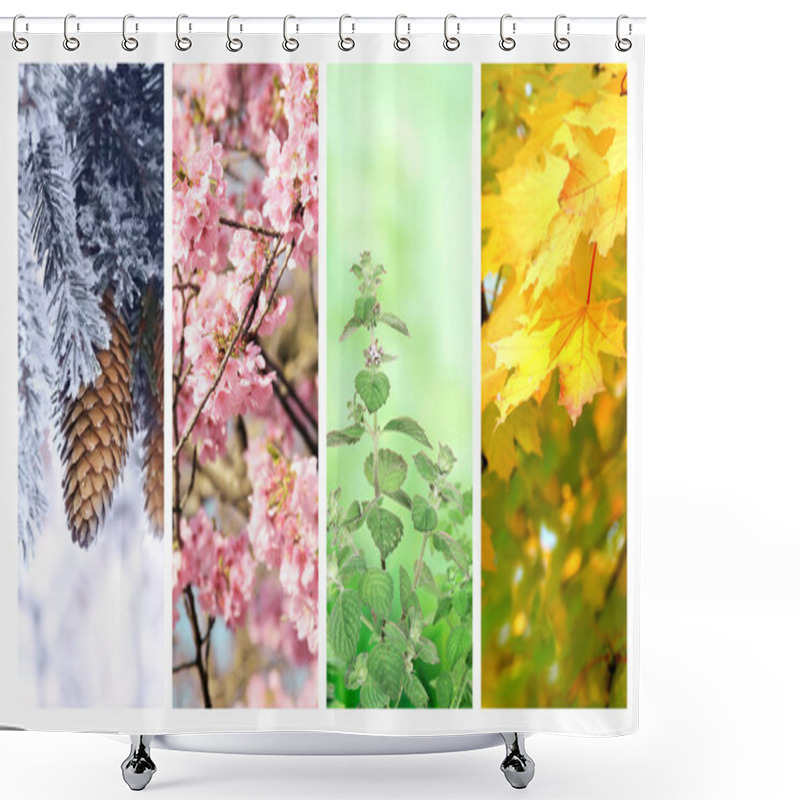 Personality  Four Seasons Of Year. Set Of Vertical Nature Banners With Winter, Spring, Summer And Autumn Scenes. Copy Space For Text Shower Curtains