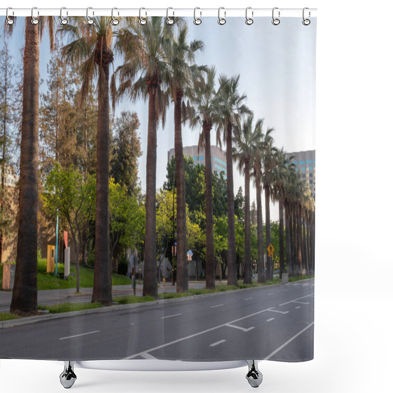 Personality  Palm Trees Lining A Modern City Street During Sunset Shower Curtains