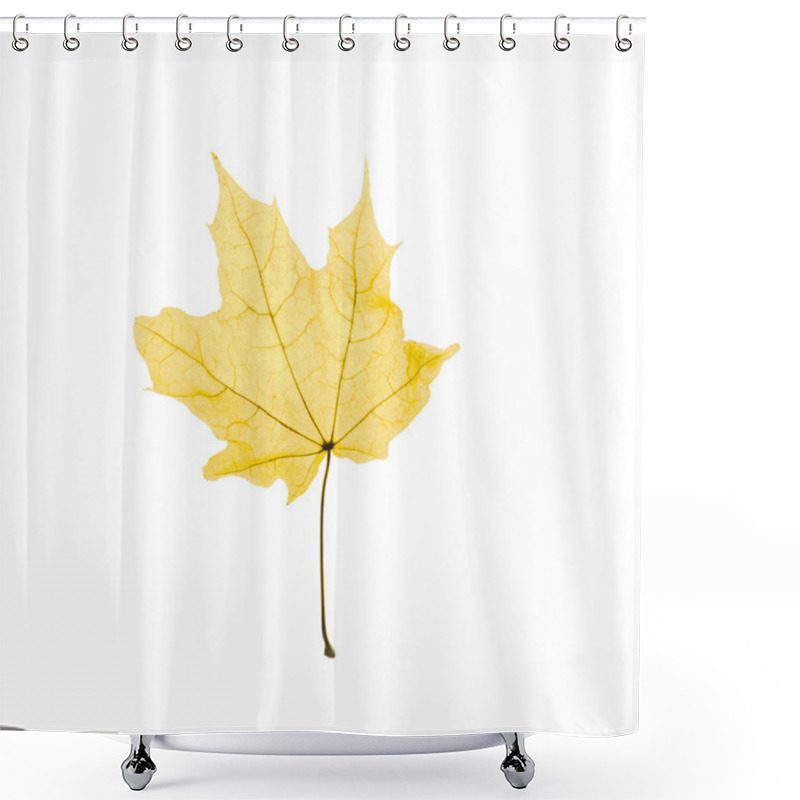 Personality  Maple Leaf  Shower Curtains