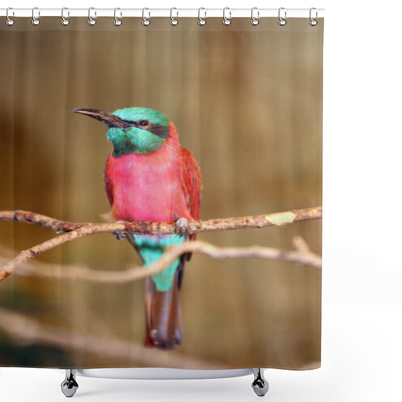 Personality  The Northern Carmine Bee-eater (Merops Nubicus) Sitting On A Branch With A Yellow Background. Alternative Common Names Include The Carmine Bee-eater Or The Nubian Bee-eater. Shower Curtains