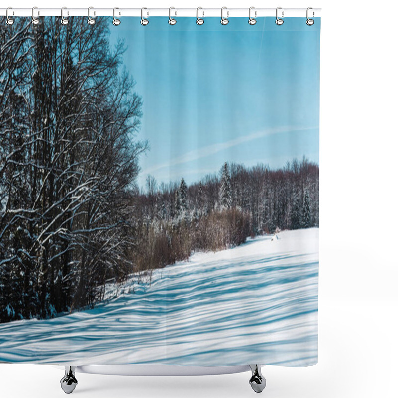 Personality  Sunny Snowy Day In Forest In Carpathian Mountains Shower Curtains