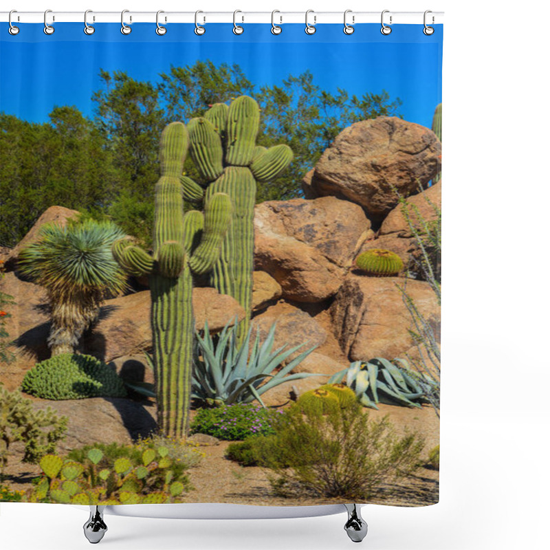 Personality  Desert Cactus Landscape In Arizona Shower Curtains