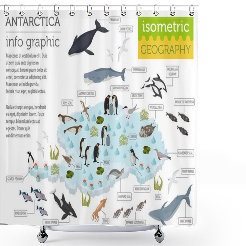 Personality  Isometric 3d Antarctica Flora And Fauna Map Elements. Animals, B Shower Curtains